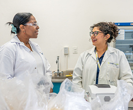 employees dedicated to Health & Environment roles